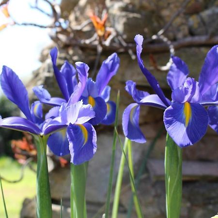 Mas Les Romarins, 10 Min D'Uzes, Grand Jardin, Nid De Repos Et Base Pour Activites Dans Le Gard, Max 8 Adultes Et 3 Enfants Villa ภายนอก รูปภาพ