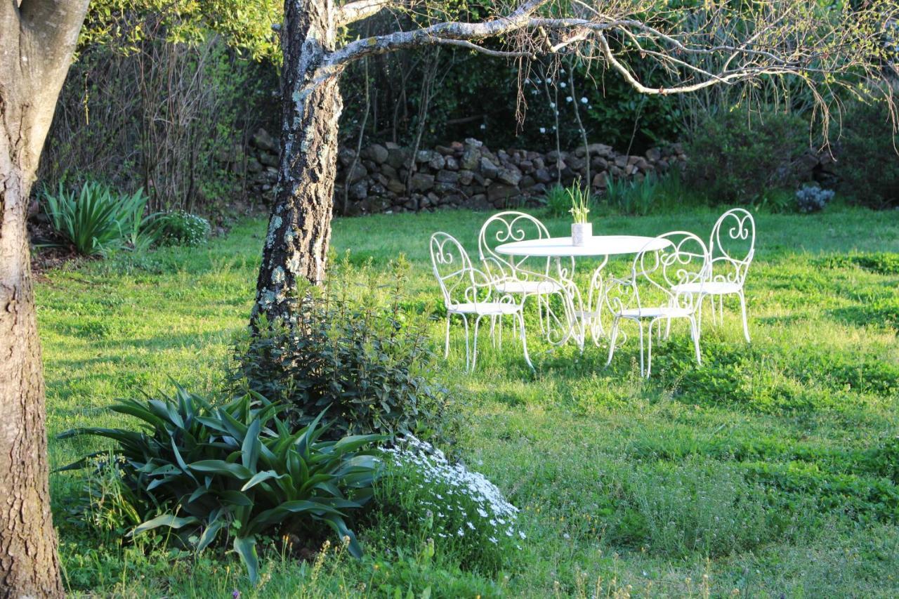 Mas Les Romarins, 10 Min D'Uzes, Piscine Et Grand Jardin Clos, Jeux, Nid De Repos Et Base Pour Activites Dans Le Gard (Adults Only) ภายนอก รูปภาพ