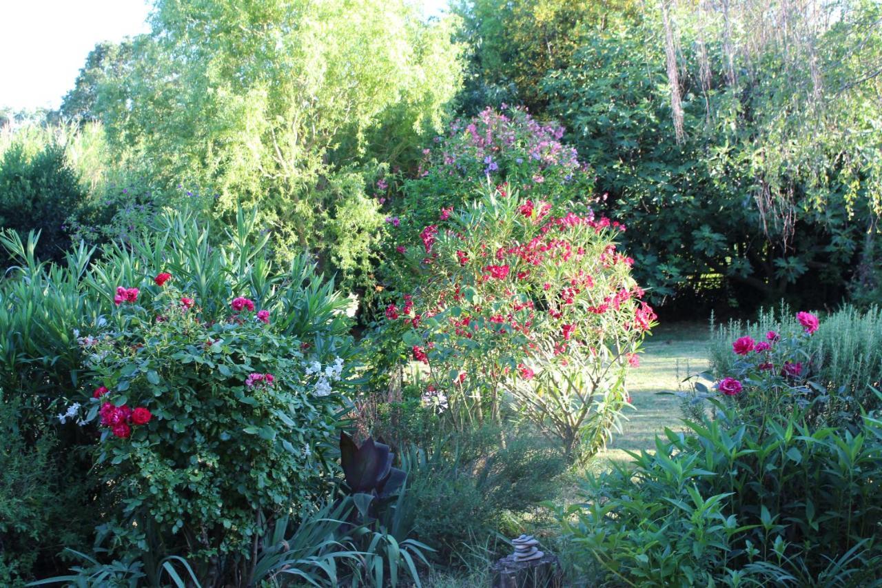 Mas Les Romarins, 10 Min D'Uzes, Piscine Et Grand Jardin Clos, Jeux, Nid De Repos Et Base Pour Activites Dans Le Gard (Adults Only) ภายนอก รูปภาพ