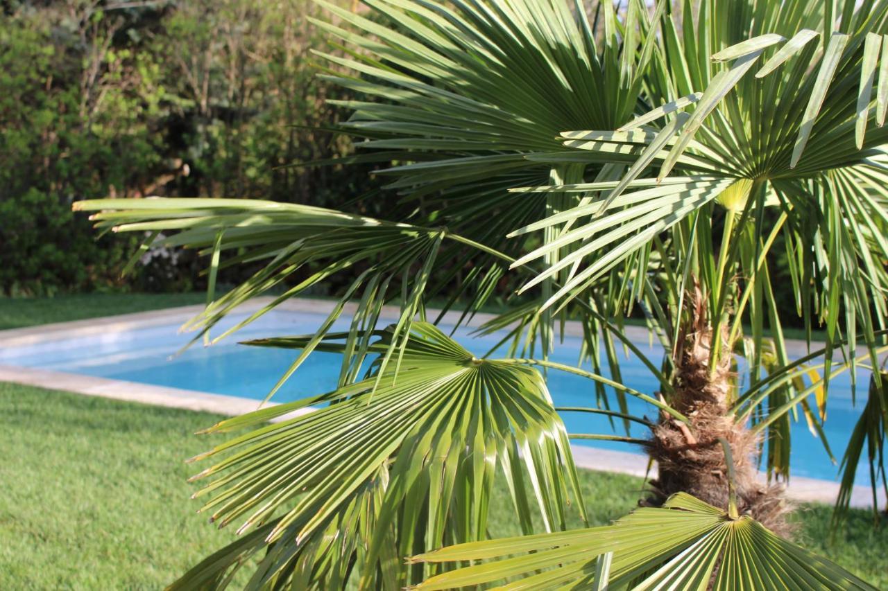 Mas Les Romarins, 10 Min D'Uzes, Piscine Et Grand Jardin Clos, Jeux, Nid De Repos Et Base Pour Activites Dans Le Gard (Adults Only) ภายนอก รูปภาพ